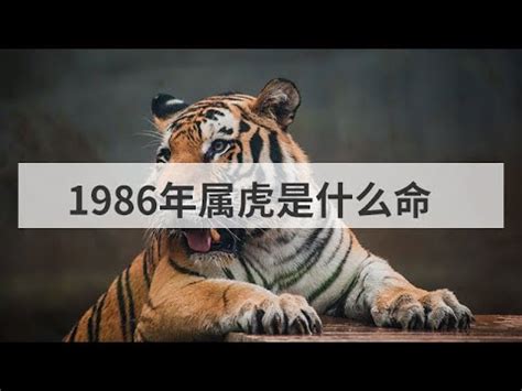 1986屬虎五行